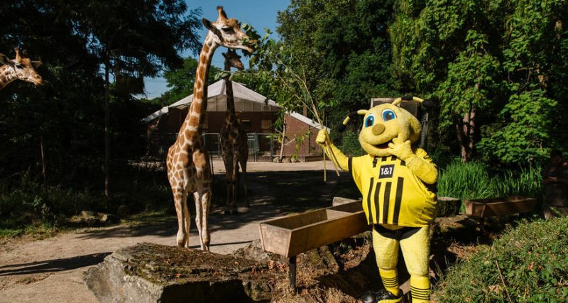 Konkret werden! BVB-Erlebnistag im Zoo Dortmund am 25. September